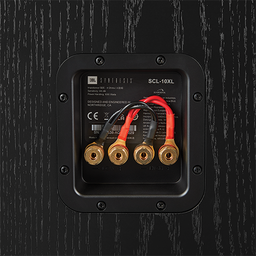 Dual set of gold-plated spring-loaded binding post input terminals